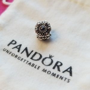 Authentic Pandora Charm